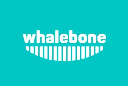 Bezpečnejšie Surfovanie na Internetových Vlnách s Whalebone