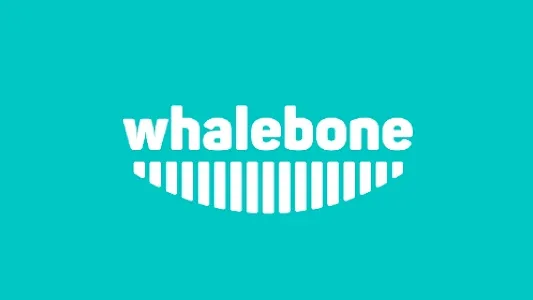 Bezpečnejšie Surfovanie na Internetových Vlnách s Whalebone