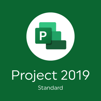 Project 2019 Standard